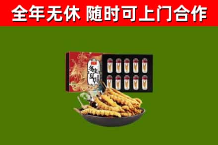 天水回收冬虫夏草价格